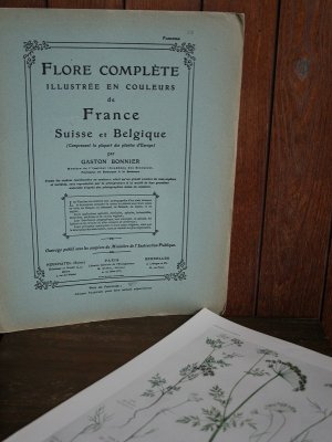 画像2: Flore Complete Illustree en Couleurs