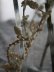 画像4: Couronne de merie Fleurs Perles (4)
