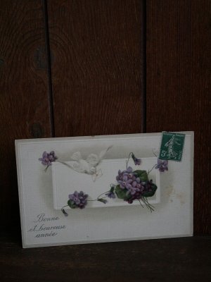 画像3: Carte Postale Pigeon Violettes