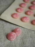 Boutons ”tournade/dome” rose