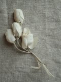 Fleur tissue "Gardenia"
