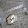 Broche ”Cherbourg” coquille