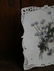 画像4: Carte Postale Chrysantheme Ajoure