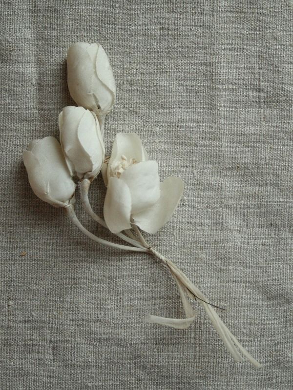 画像1: Fleur tissue "Gardenia"